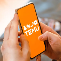 Temu平台发货模式的种类